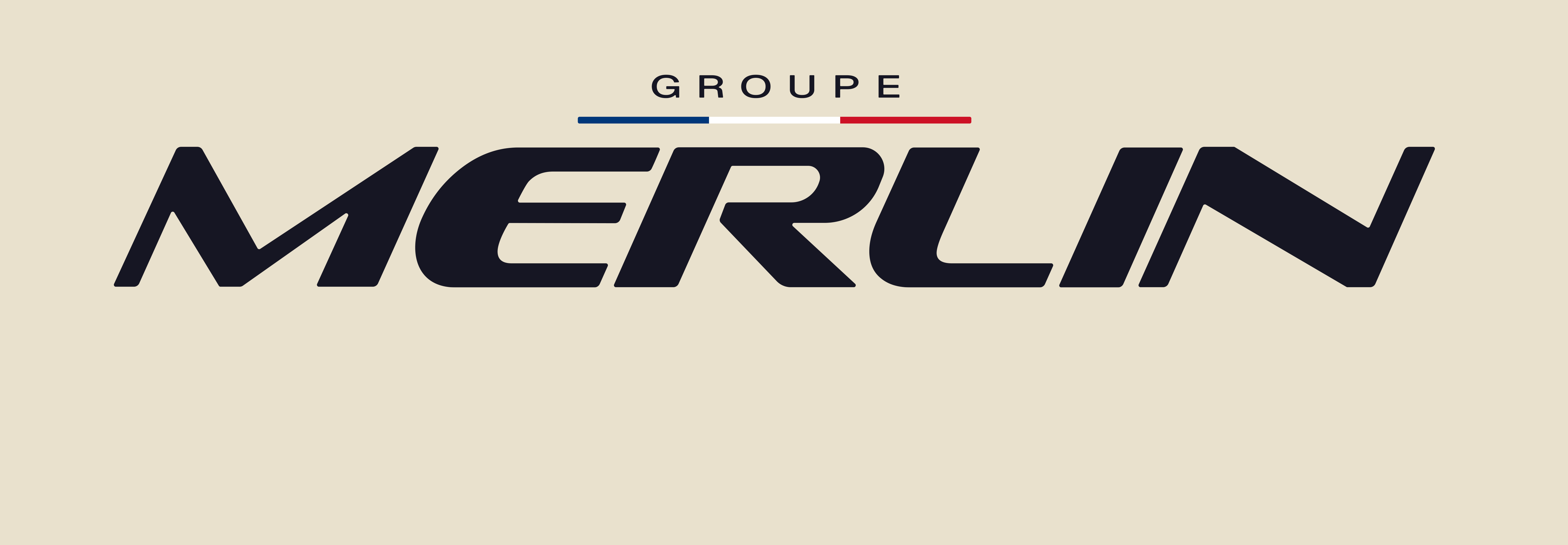 Groupe Merlin